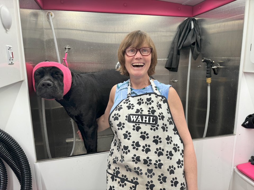 Helen, Lead Groomer and Co-founder of Bow Tie Mobile Pet Grooming, laughing joyfully while bathing a black Cane Corso inside the state-of-the-art mobile grooming van during an at-home grooming appointment in Shaddock Creek Estates, Frisco, TX. The dog wears bright pink ear protection (happy hoodie) to dampen the noise from blow-drying, showcasing Helen's attention to pet comfort and safety. The stainless steel bathing station, Super Sudser bathing system (to create a massaging, thorough clean), and commercial-grade variable-speed blow dryer reflect the fully-equipped mobile salon that brings stress-free, one-on-one grooming directly to homes throughout Frisco, Plano, McKinney, Prosper, and The Colony. With over 10 years of experience, Helen specializes in fear-free handling for anxious dogs, nervous rescues, and senior pets.