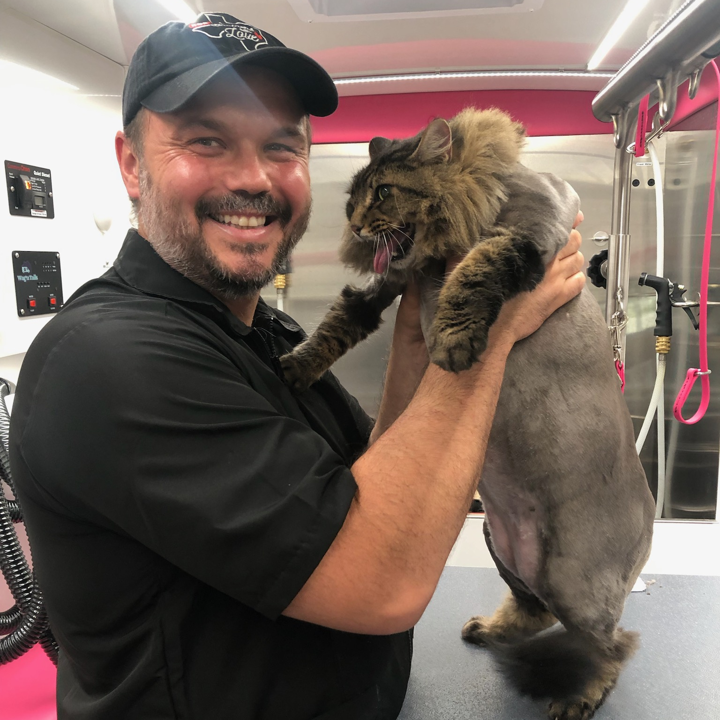 Richard, Co-founder and Stylist at Bow Tie Mobile Pet Grooming, smiling broadly while holding a long-haired tabby cat with a freshly styled lion cut inside the fully-equipped mobile grooming van. The cat's body is neatly shaved while the fluffy mane around its face is expertly preserved, showcasing Richard's precision styling and breed-specific grooming expertise. The professional van interior features a grooming table, high-velocity dryer, and pink accent lighting, reflecting the state-of-the-art mobile salon that serves clients in Windsong Ranch, Prosper, TX, and throughout Frisco, Plano, McKinney, and The Colony. As a Nash Academy graduate, Richard brings detail-driven cuts and champion-level safety standards to every cat and dog grooming appointment.