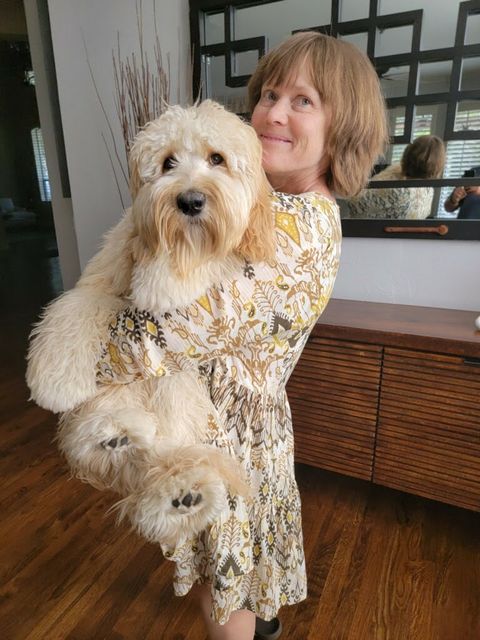 Helen Lehman, Lead Groomer at Bow Tie Mobile Pet Grooming, holding a freshly groomed cream-colored doodle after a Frisco, TX mobile grooming appointment.