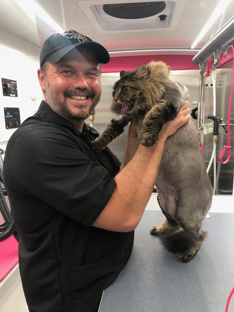 Richard Lehman, Co-founder and Stylist at Bow Tie Mobile Pet Grooming, smiling with a long-haired tabby cat inside the mobile grooming van.